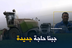 فلاحو أدرار ينتجون الذرة الصفراء و علف السيلاج