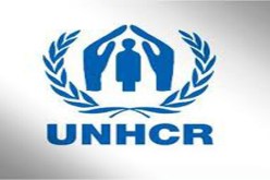 المفوضية السامية لشئون اللاجئين تبادر لحل قضايا اللاجئين بشرق السودان