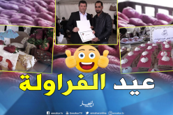 تنظيم الطبعة الأولى لعيد الفراولة بالقليعة