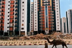 الإمارات العربية المتحدة مستعدة للمشاركة في انجاز البرامج السكنية بالجزائر