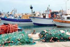 مشروع قانون الصيد البحري وتربية المائيات سيعرض قريبا على البرلمان