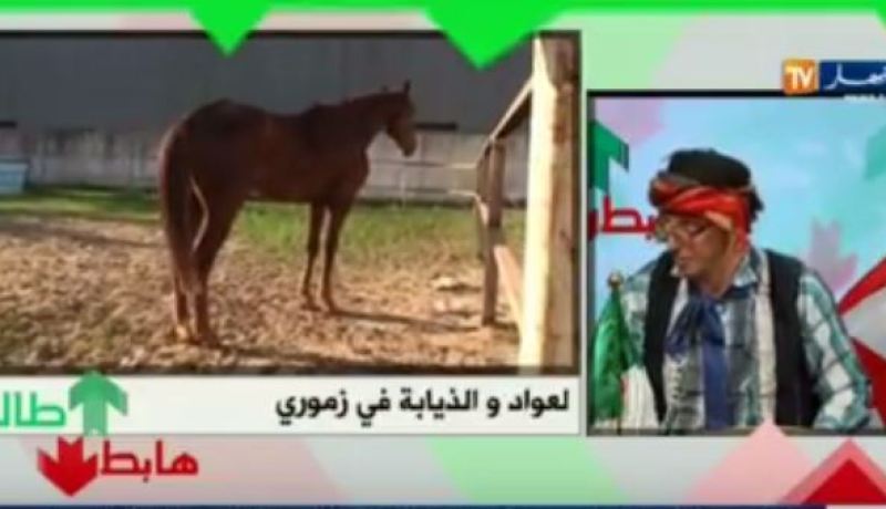 بالفيديو …الشيخ النوي يكشف عن مئات الملايير المنهوبة بميدان سباق الخيل بزموري