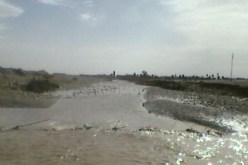 وفاة المختص في علم المناخ محمد سنوسي بوهران