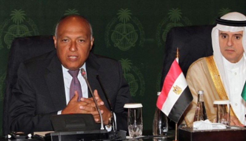 مصر والسعودية تجددان توافقهما حول قضايا المنطقة