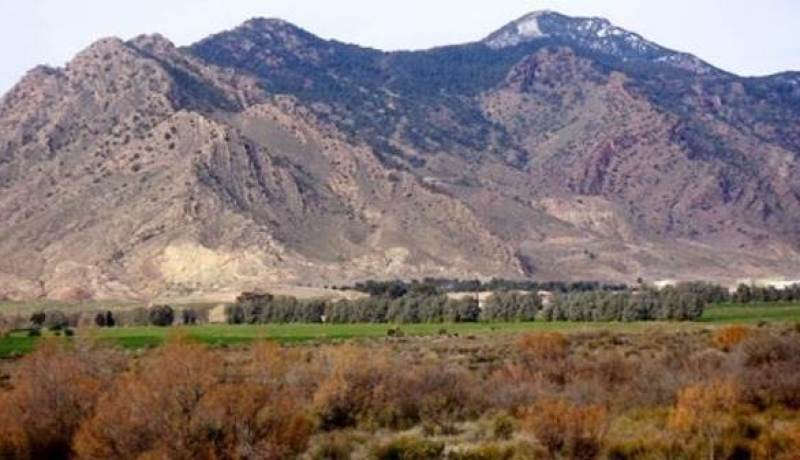 القبض على 9 سوريين على الحدود التونسية الجزائرية