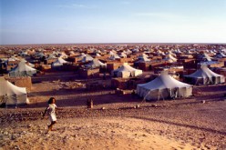الامم المتحدة تتوقع وصول 55 الف لاجئ جديد الى النيجر اذا ما حصل تدخل في مالي