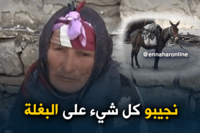 قالمة: سكان دوار الكدس يناشدون السلطات المحلية لإجلائهم من الوضعية المزرية