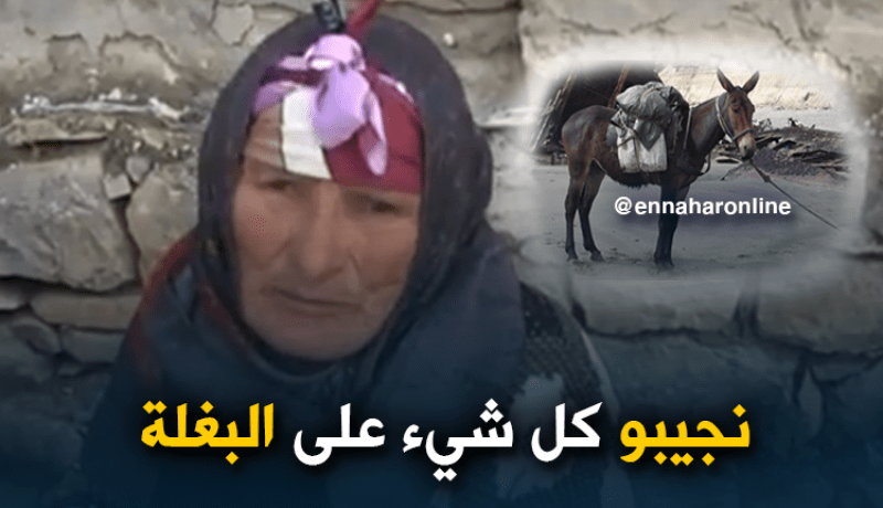 قالمة: سكان دوار الكدس يناشدون السلطات المحلية لإجلائهم من الوضعية المزرية