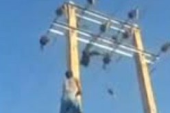 بالفيديو انتحاررجل صيني بصعقة كهربائية فوق العمود الكهربائي