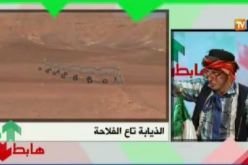 بالفيديو…ذئاب العقار الفلاحي بغرداية تحت أعين الشيخ النوي