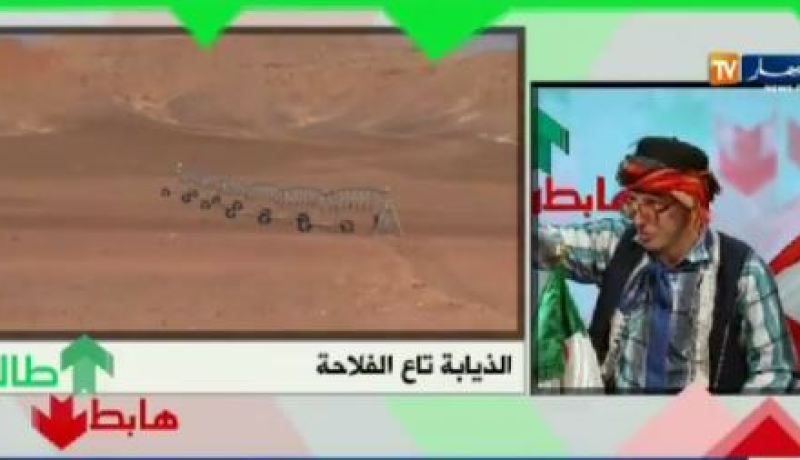 بالفيديو…ذئاب العقار الفلاحي بغرداية تحت أعين الشيخ النوي