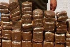 حجز أكثر من 6 قناطير من الكيف المعالج بمغنية قادمة من المغرب