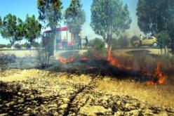 إتلاف ما يقارب 9 هكتارات من حقول الحبوب بالطارف