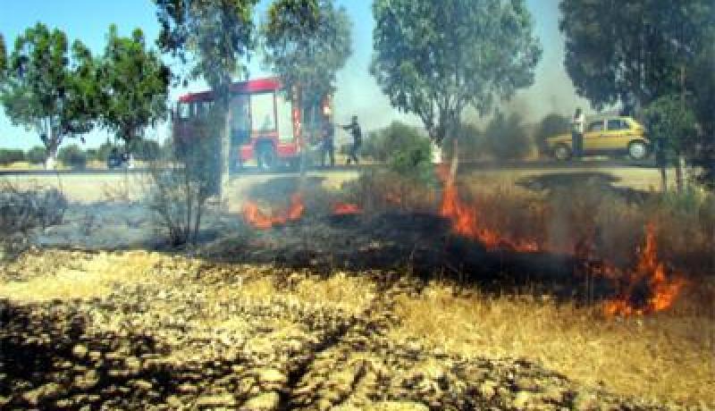 إتلاف ما يقارب 9 هكتارات من حقول الحبوب بالطارف