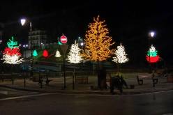 بالصور تزيين شوارع الجزائر بأشجار منيرة يغضب الفايسبوكيين