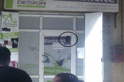 الحماية المدنية تنقذ تاجرا احتجزته نحلة عملاقة داخل محل تجاري في تيزي وزو