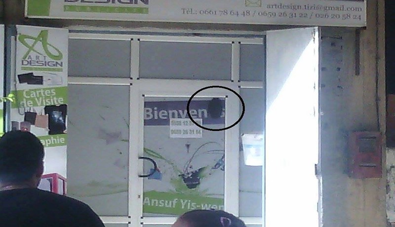 الحماية المدنية تنقذ تاجرا احتجزته نحلة عملاقة داخل محل تجاري في تيزي وزو