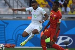 وفاة مشجع من سكيكدة بعد 80 دقيقة من لقاء الجزائر أمام بلجيكا