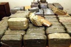 حجز 102 كلغ من القنب الهندي و23 كلغ كيف معالج في تلمسان