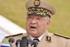 الفريق قايد صالح يشيد بالدورالريادي للجيش الوطني الشعبي في اضطلاعه بمهامه الدستورية