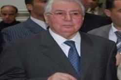 بن صالح يعرب عن الدعم الكامل للتجمع الوطني الديمقراطي للرئيس بوتفليقة