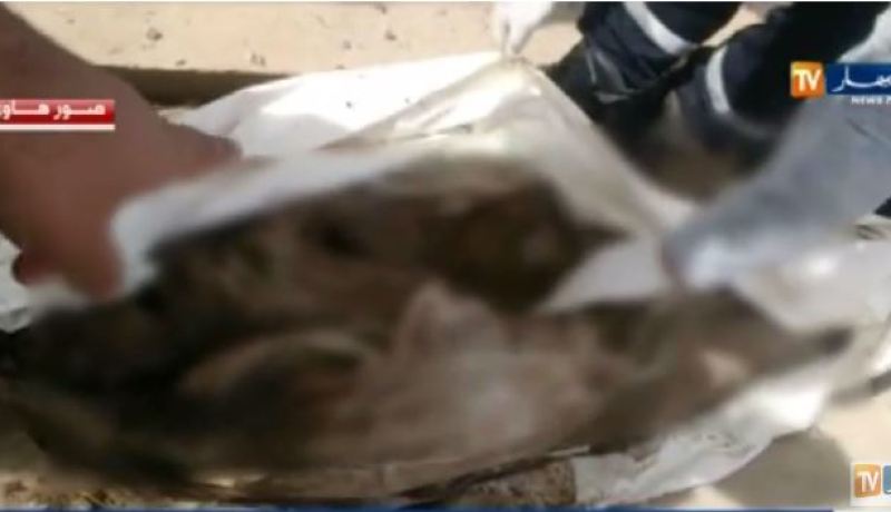 بالفيديو.. بتر يد ميت بغرض السحر والشعوذة في المسيلة