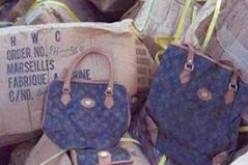 مهنيون يأسفون لوجود فراغ قانوني في مجال مكافحة التقليد