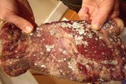 حجز 100 كلغ من اللحوم الفاسدة في مدية