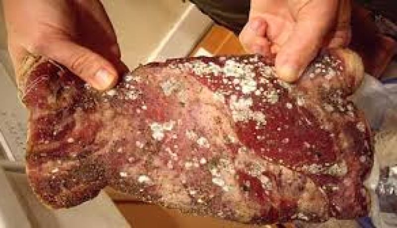 حجز 100 كلغ من اللحوم الفاسدة في مدية