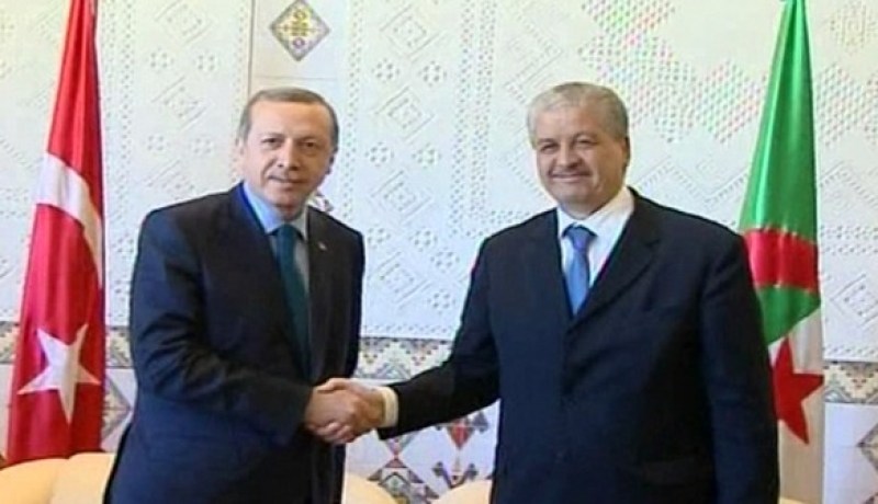 أردوغان يدعو إلى رفع الاستثمارات التركية في الجزائر إلى مستويات أفضل
