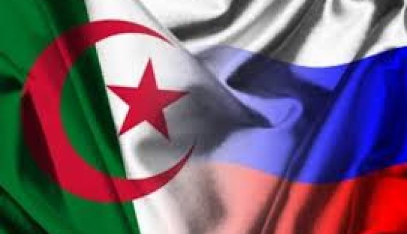 مسؤولة روسية: روسيا تقدر حق تقدير السياسة الخارجية للجزائر