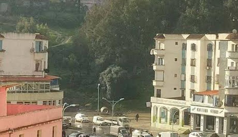 فيديو.. احتجاجات في سكيكدة على خلفية وفاة تلميذ أمام المدرسة