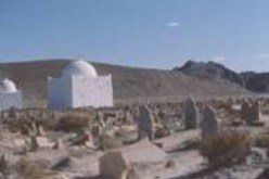 جامعي يؤكد على دور الجامعة  في صد هجمات الغرب ضد الصوفية