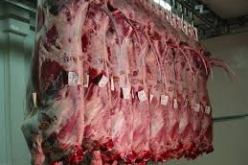 الغاء القرار المتعلق بفتح دعوى تصنيف مذابح الجزائر العاصمة