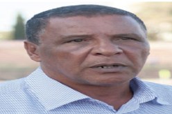 الوداد يستقبل مولودية العاصمة بنية الفوز وعمراني يطلب دعم الأنصار