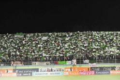 الفاف ترفع عدد التذاكر إلى 26 ألف تذكرة بـ200 دينار وألفين تذكرة بـ500 دينار