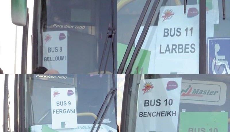 بلومي وماجر ونجوم 82 لنقل أنصار «الخضر» بالبرازيل