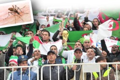 بعوضة «الدونغي» القاتلة تهدد أنصار «الخضر» في البرازيل