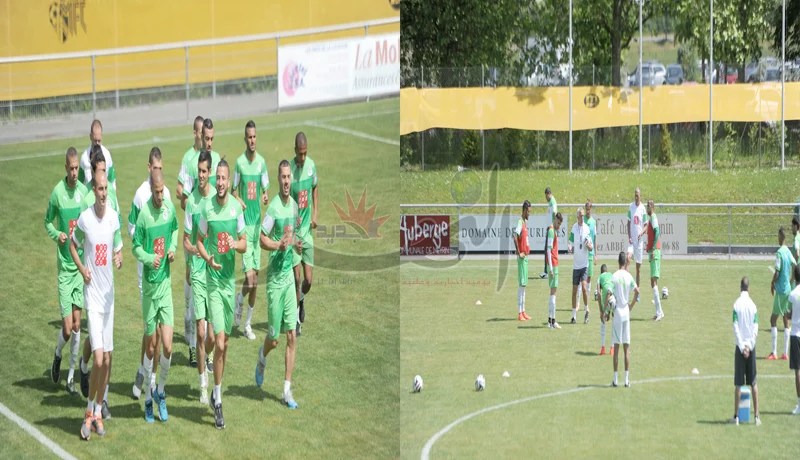 “الخضر” يستأنفون التدريبات ويواصلون التحضـــير لمـواجهة رومـــانيـــا في غيـــاب يبــــــدة