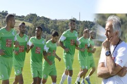 حليلوزيــتش يخلط جميع الأوراق من جـديــــد لمواجهـــة بلجيـــكـا ومهدي مصطفى سيكون الضحية