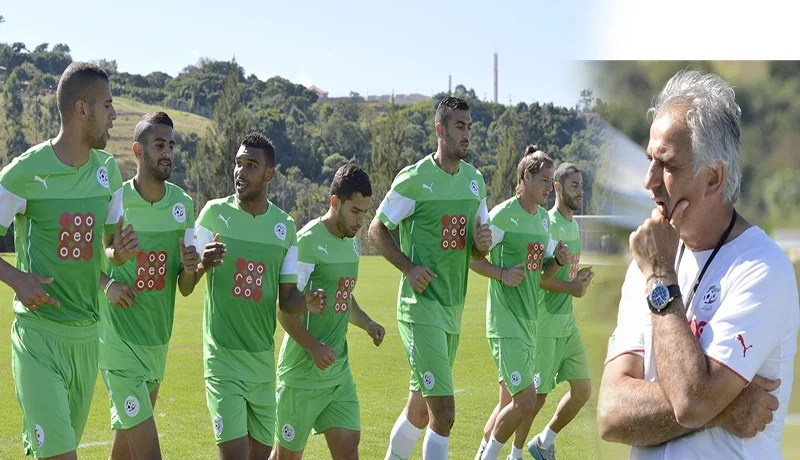 حليلوزيــتش يخلط جميع الأوراق من جـديــــد لمواجهـــة بلجيـــكـا ومهدي مصطفى سيكون الضحية