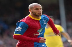 ڤديـورة: حليلوزيتش مدرب طموح وبلوغ الدور الثاني في المونـــديال سيكون تاريخيا