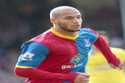 جمهورنـا هو من يعطينا القـــوة للفـــوز.. ومونديال 2010 مذهل ولا ينـسى