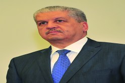 سيروا إلى الأمام.. توكلــــوا علــى اللّـــه وأتمنى الفوز على ألمانيا»