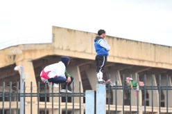 أنصار “الخضر” متخوفون من النكسة ويؤجّلون الاحتفالات إلى لحظة النهاية