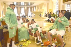 الفاف تؤكد اتخاذها لكافة التدابير المتعلقة بسفرية الخضر إلى مالاوي