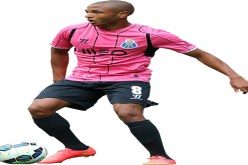 فينغر  سنرى براهيمي قريبا في البيـاسجي