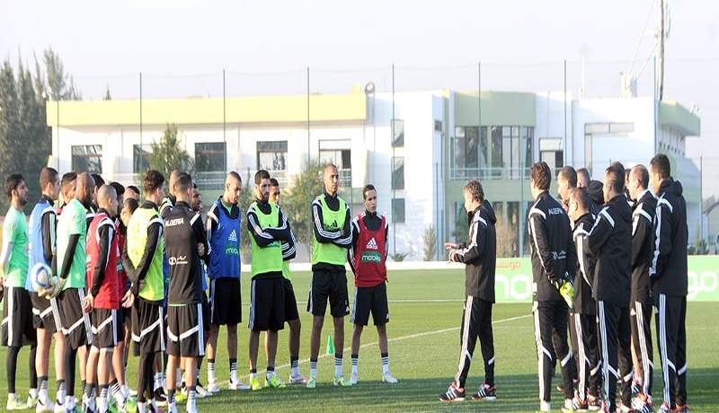 كلـنا الخـضــر