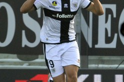 نابولي لايزال مهتما ببلفوضيل ودي لورانتس يضعه كخيار ثالث بعد دزيكو