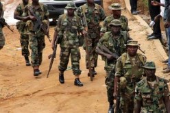 الجيش النيجيري يقتل 3 انتحاريات مراهقات